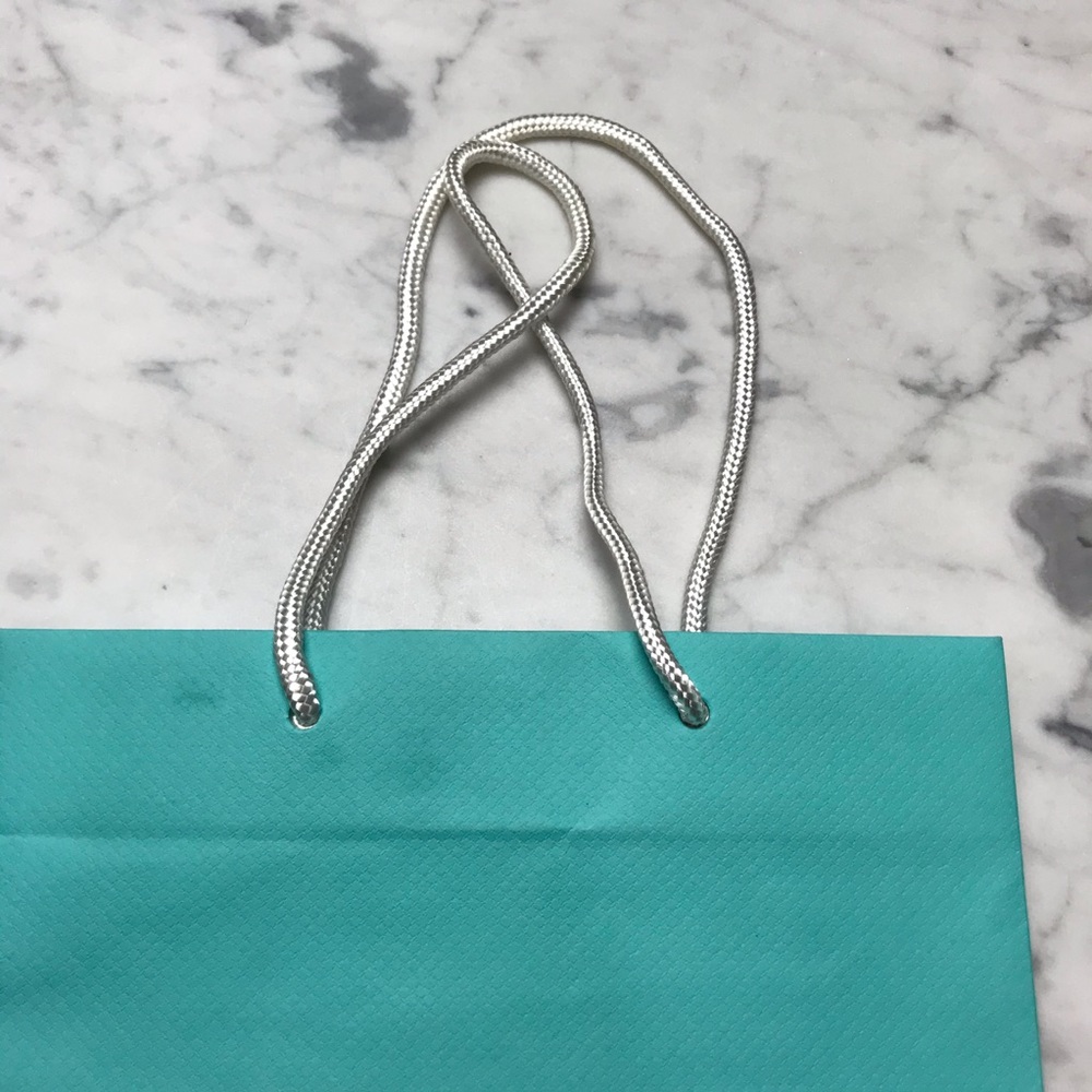 Tiffany & Co. Decorative Gift Bag Closet Decor - Picture 4 of 6